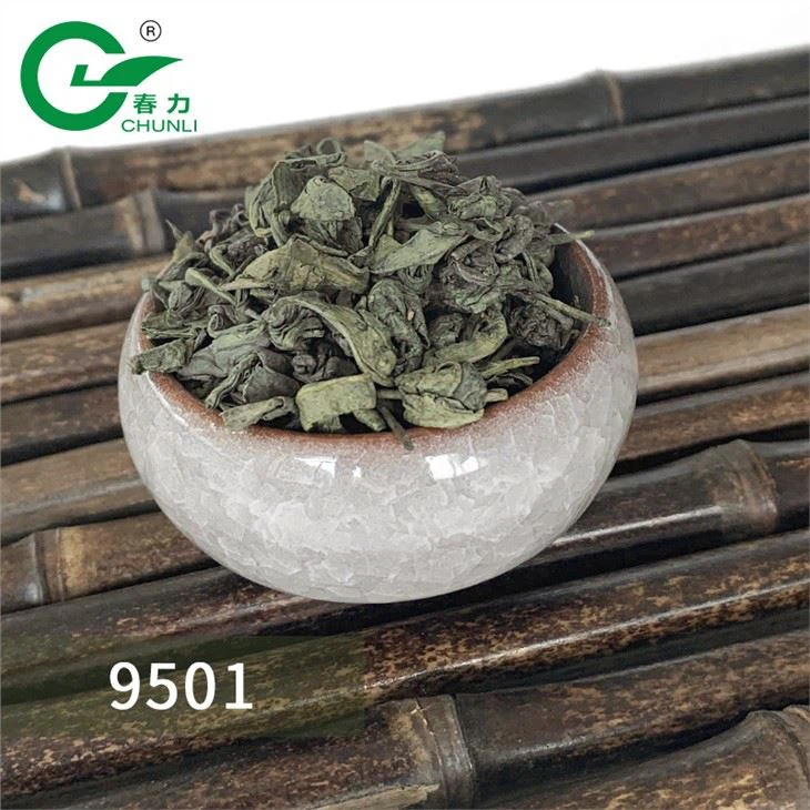 Chunmee Tea wholesale
