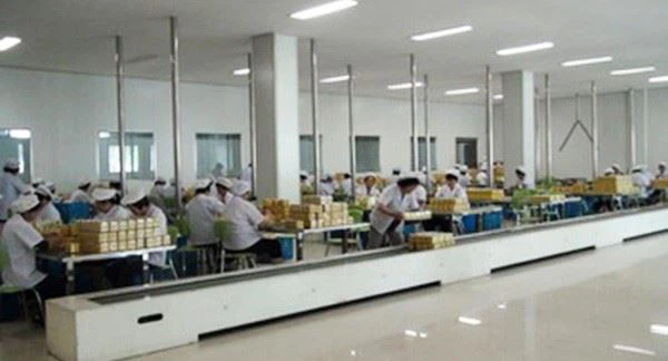 Gunpowder Tea wholesale
